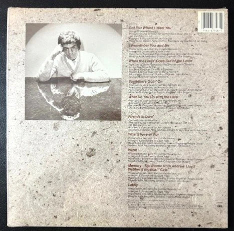 Johnny Mathis ‎– Friends In Love (New) - Maple City Music