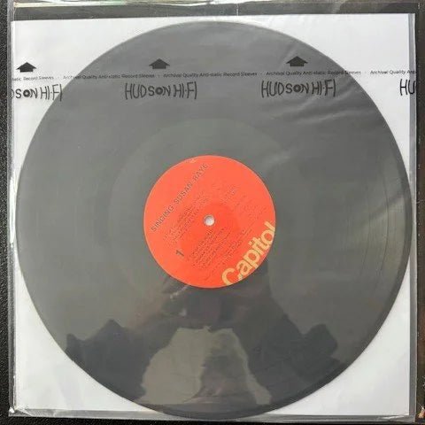 Susan Raye – Singing Susan Raye (Used) - Maple City Music