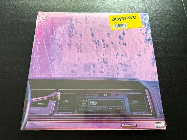 Joywave – Cleanse (New)