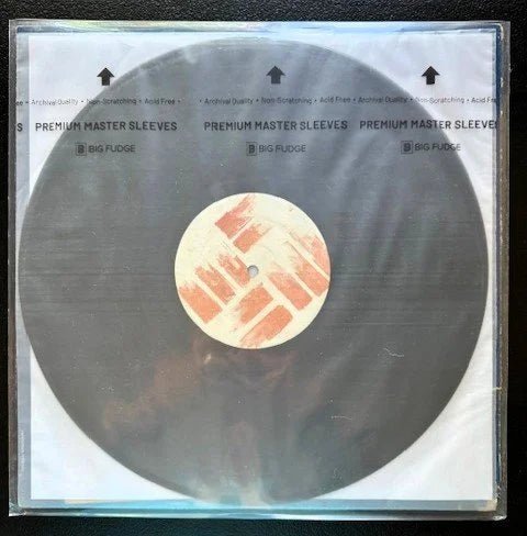 Fiat Lux - Ruin... (Used) - Maple City Music