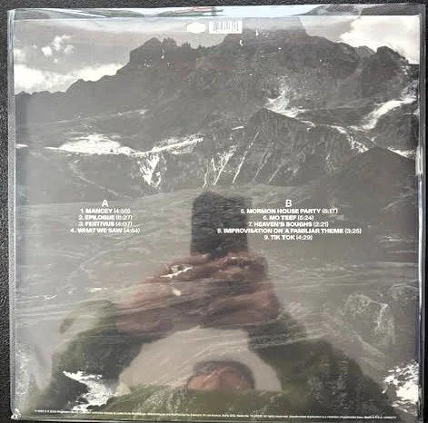 Andrew Bird – Outside Problems (LP, 2023, Loma Vista LVR03771, Sealed) - Maple City Music