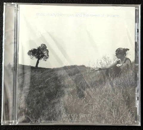 Aaron Flinn — Most Awkward Bridges and the Search for Home (CD, Album, Independent) - Maple City Music
