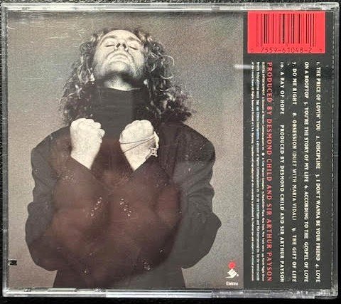 Desmond Child – Discipline (CD, 1991, Elektra 9 61048-2) - Maple City Music
