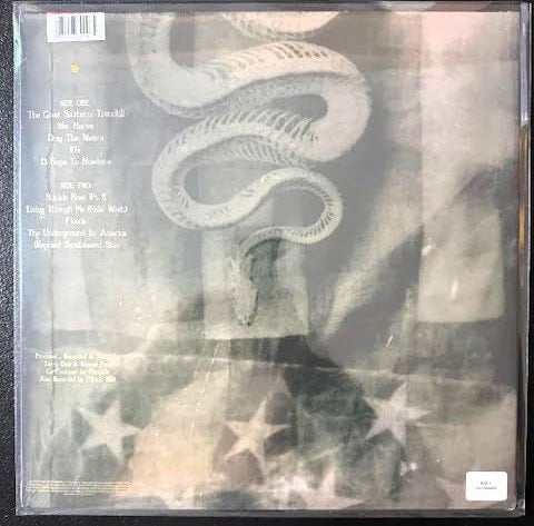 Pantera – The Great Southern Trendkill (White & Sandblasted Orange Marbled LP, 2021, RCV1 61908)