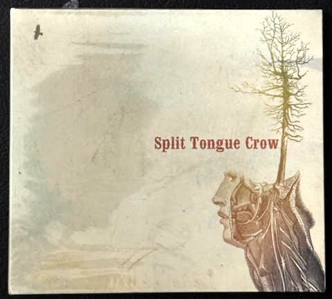 Split Tongue Crow — Split Tongue Crow (New) - Maple City Music