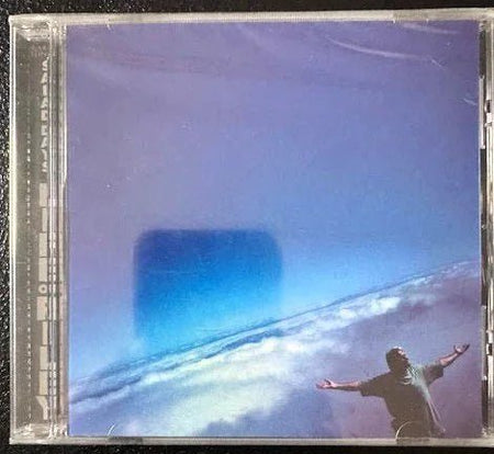Aaron Flinn's Salad Days – Life Of Riley (CD, Album, Stereo, 1998, Sun God) - Maple City Music