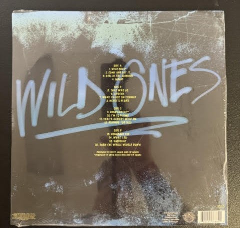 Kip Moore – Wild Ones (2 x Vinyl, LP, Album, Deluxe Edition, Stereo, Blue, 2023, MCA Nashville B0038058-01)